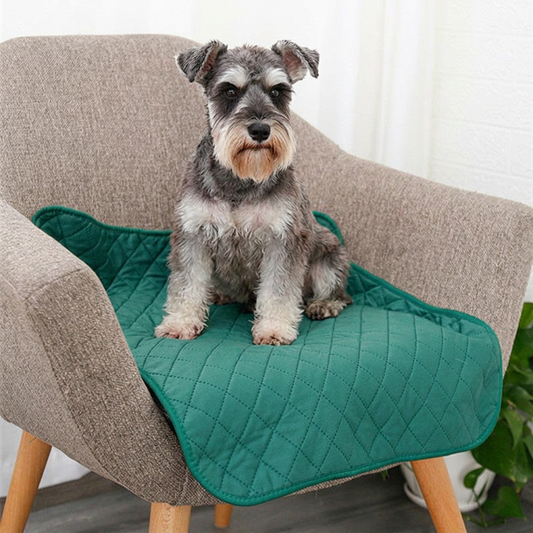 HighRise Reusable Absorbent Pee Pad with Odour Control, Washable Multi‑Layer Design